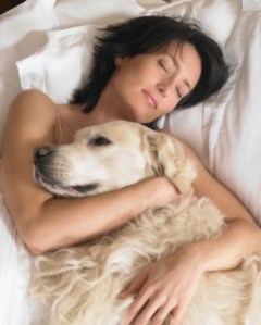 sleeping with a dog