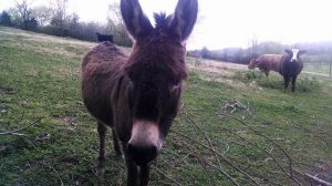 10247300_10152318711128326_7398557137487060087_n