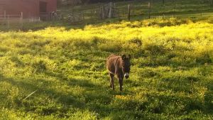 IMG_20140506_182000770