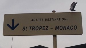 1480664_10152673634993326_5908748731591260899_n