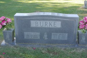 PhotoELF Edits: 2009:11:10 --- JPG Compressed 96 % YUV444 EXIF --- gamma; despeckle; resize