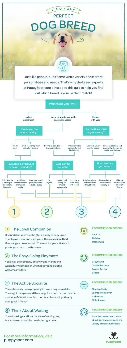 puppyspot_breed_flowchart_x2_v03 (1)